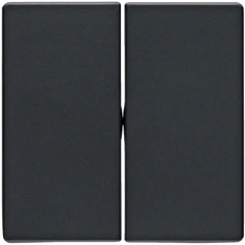 Berker Q1/Q3/Q7 klawisz podwójny antracyt aksamit 1 Klawisz podwójny Berker Q1