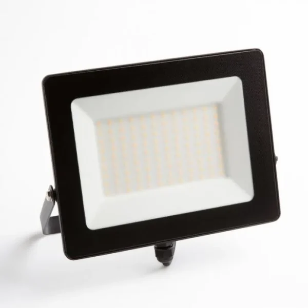 Naświetlacz LED 100W Eco Light EC79866